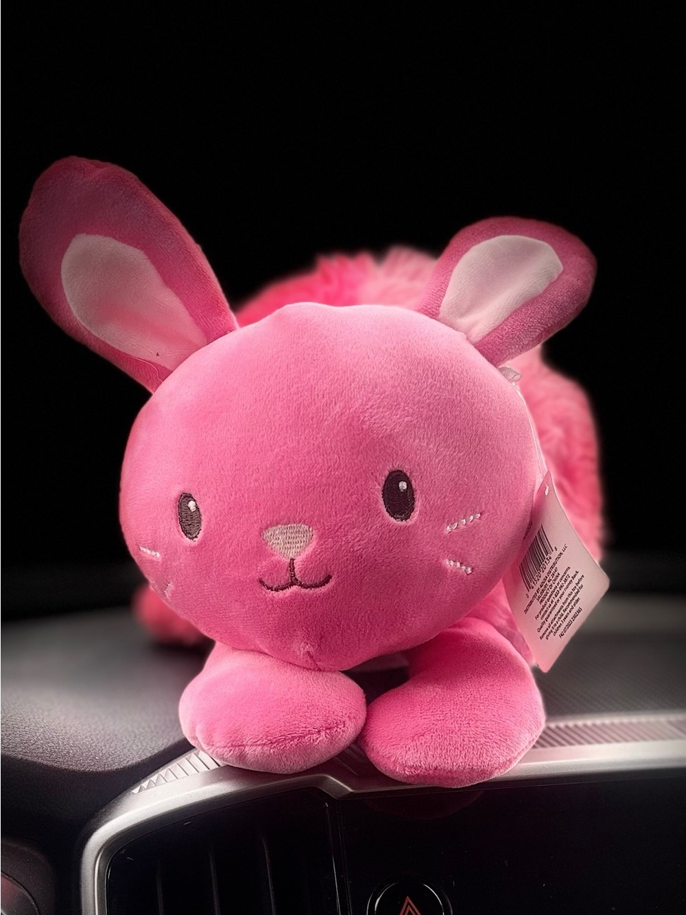Smart Living Pink Plush Bunny Small Pet Toy
